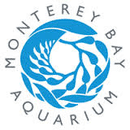 monterey-bay-aquarium-4