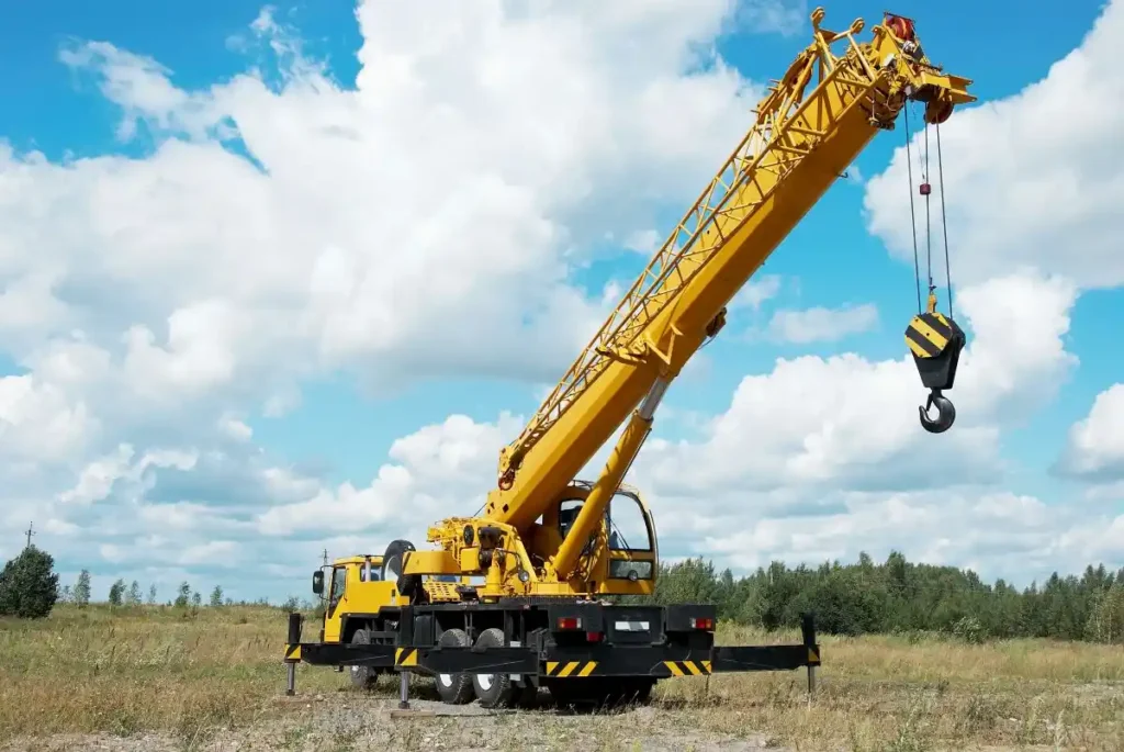 Crane In Field